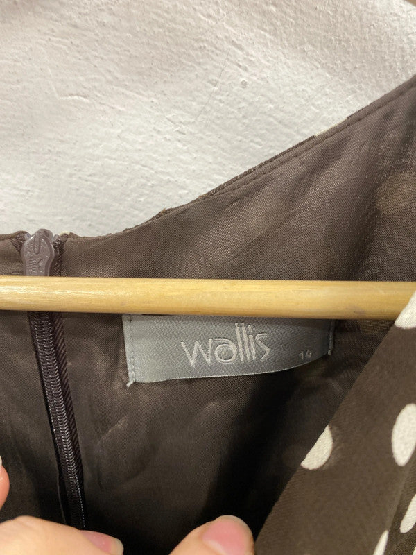 Wallis Elegant Brown & Cream Polkadot Midi Dress UK 14 FR001