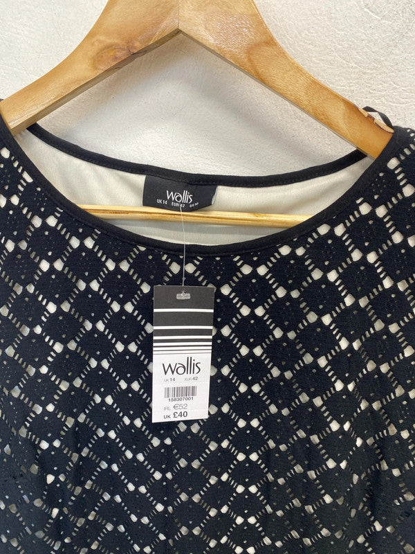 Gorgeous Wallis black lace overlay cream midi dress UK 14 AO001