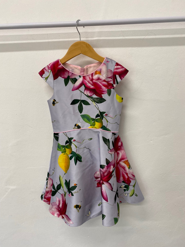 Fabulous Ted Baker Party Dress UK5 Multicolor SC007