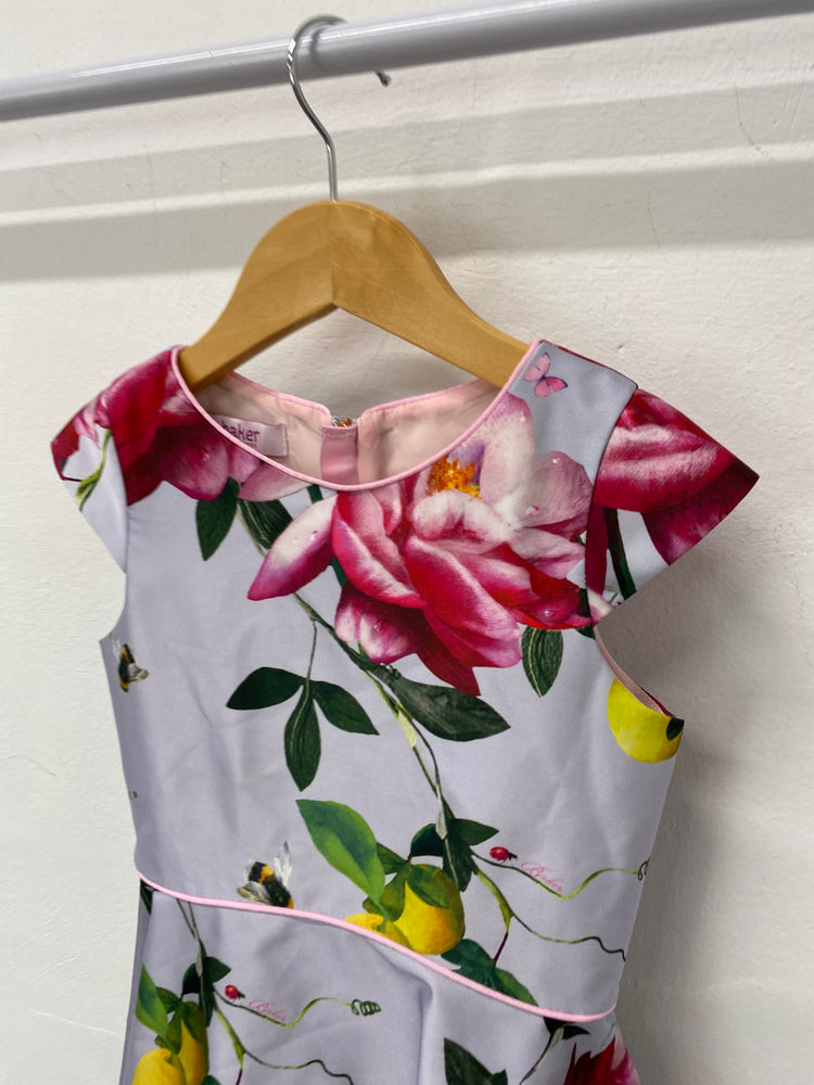 Fabulous Ted Baker Party Dress UK5 Multicolor SC007