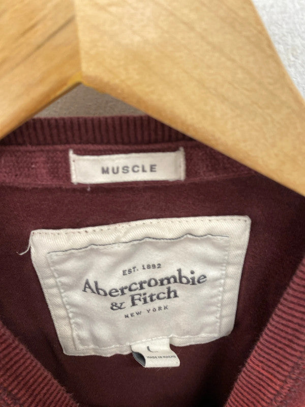 Fabulous Duo of Abercrombie & Fitch maroon muscle fit t shirts Men’s L&xl #3 GW001