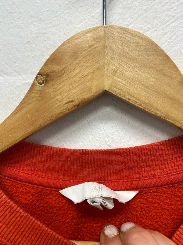 Fab H&M Wisconsin Varsity vibes cropped sweater UkS MA003