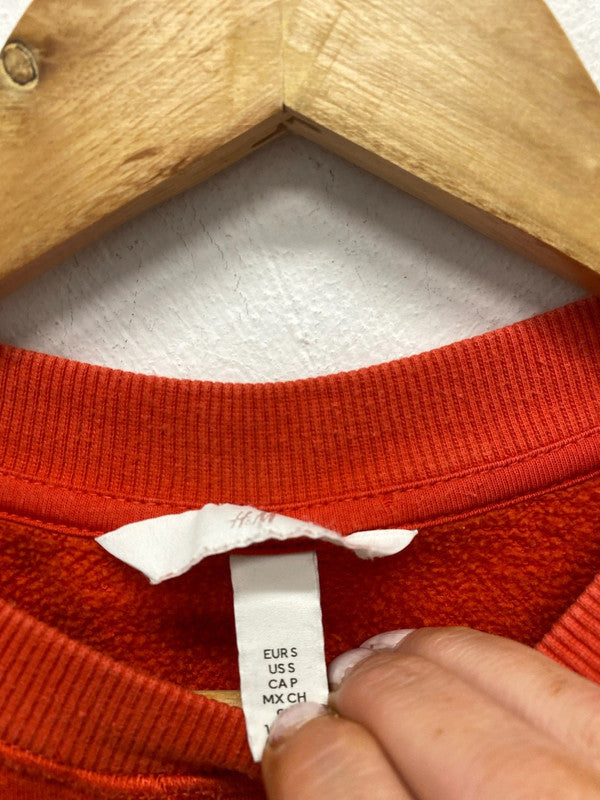 Fab H&M Wisconsin Varsity vibes cropped sweater UkS MA003