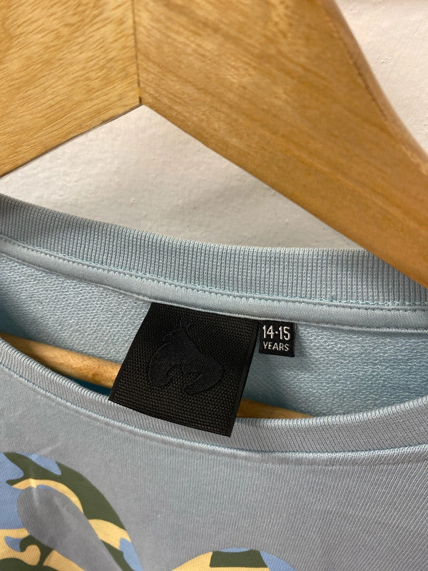 Fabulous Boys Jumper baby blue Money Age 14/15 AG006