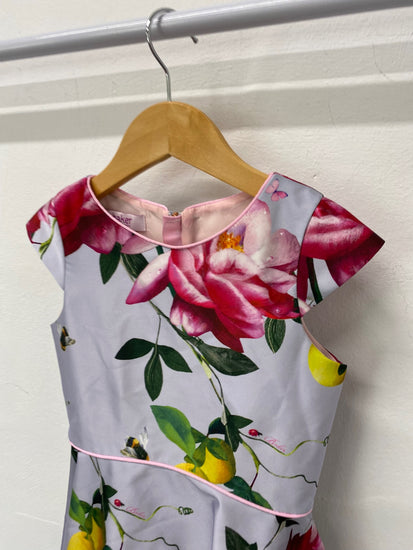 Fabulous Ted Baker Party Dress UK5 Multicolor SC007