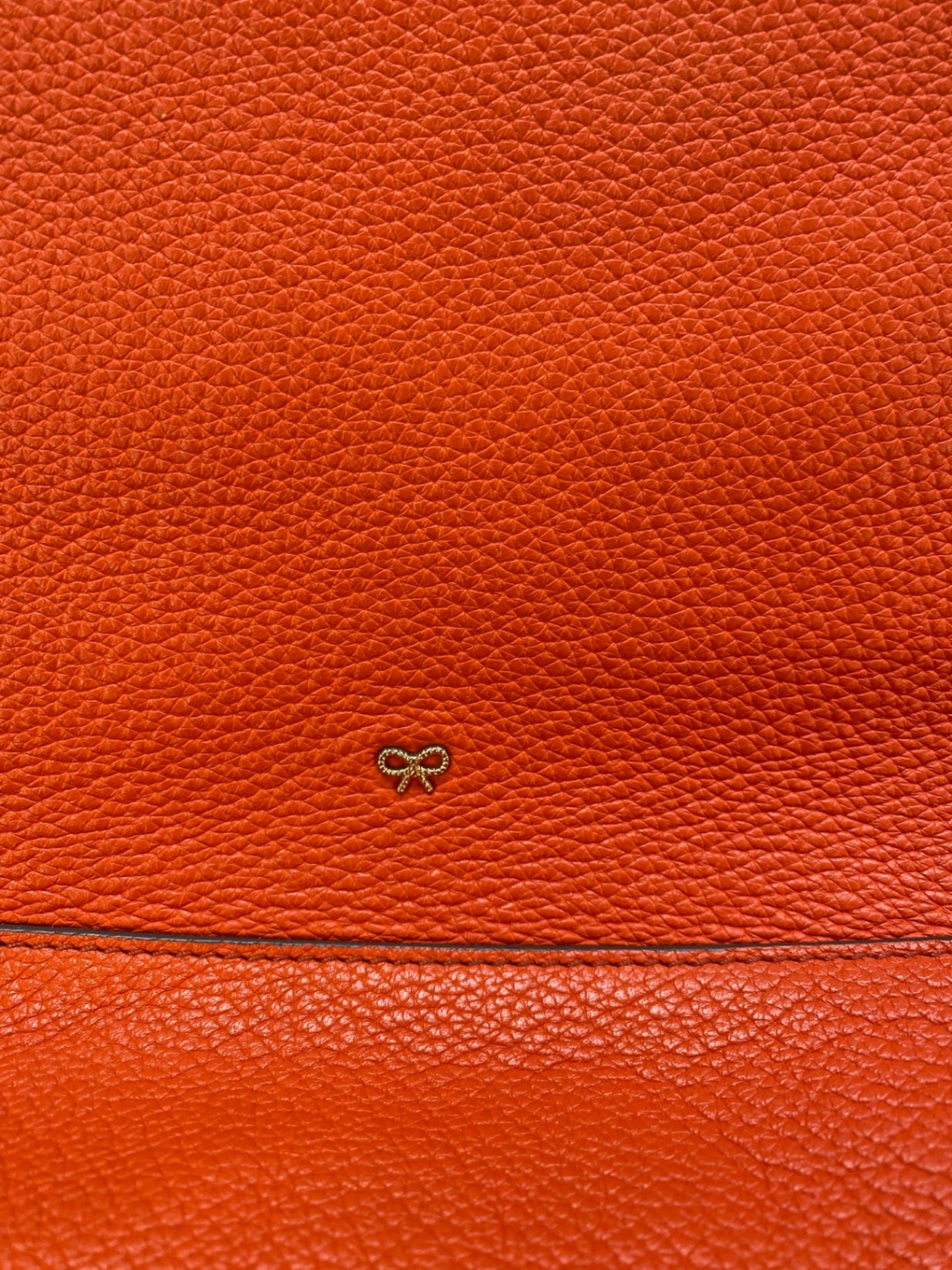 Fabulous Anya Hindmarch Orange Leather Handbag Large BS001