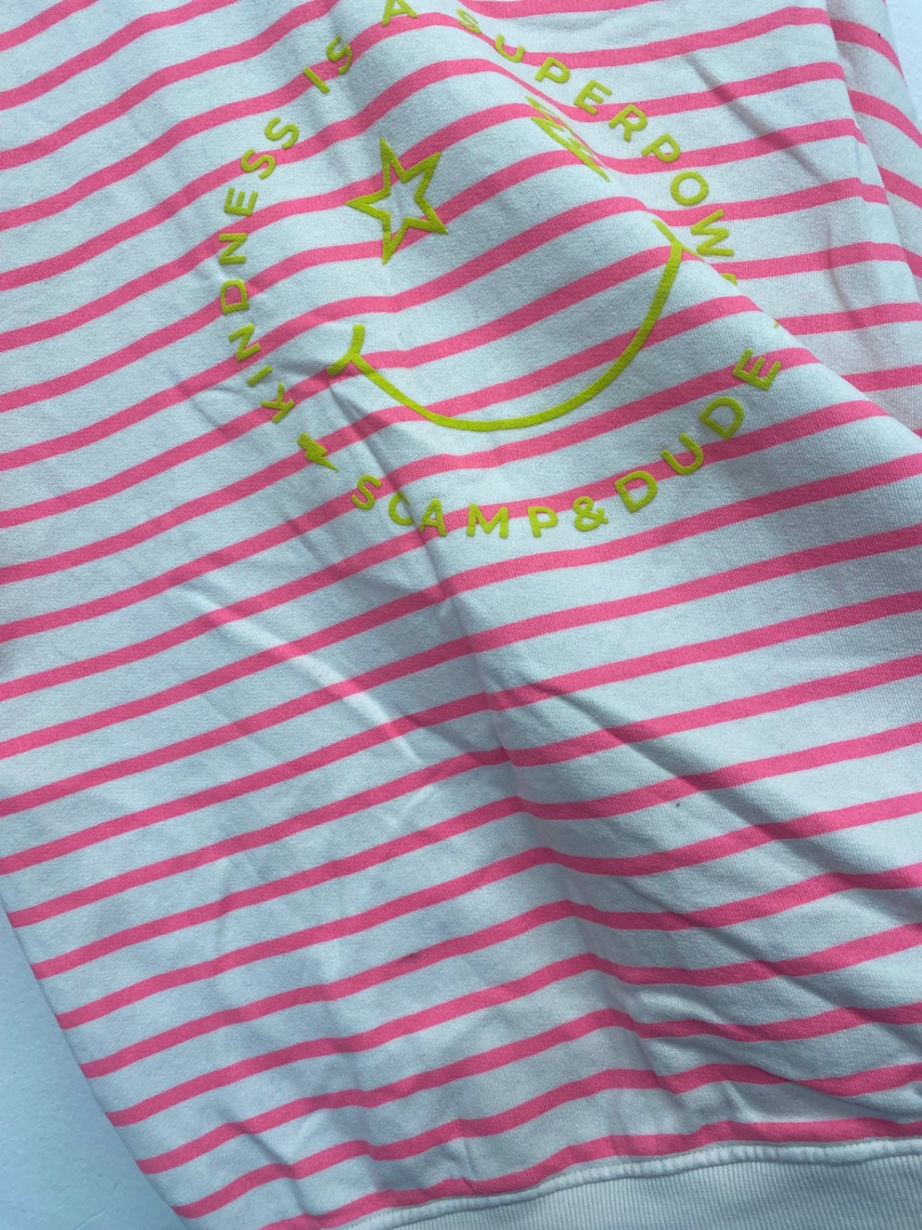 WASH Fabulous Scamp & Dude Sweatshirt UK16 Gray and Pink