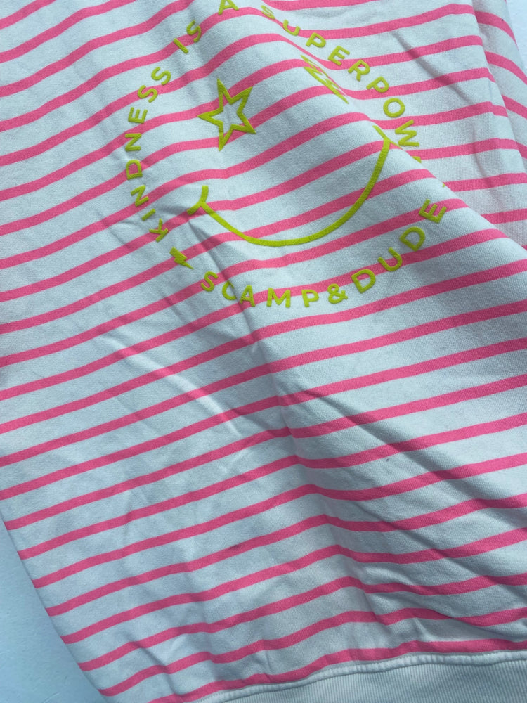 WASH Fabulous Scamp & Dude Sweatshirt UK16 Gray and Pink