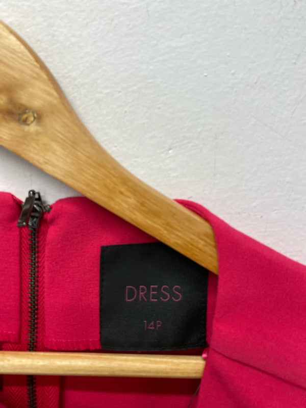 Fabulous Next Petite cerise pink dress Uk14 new party event FR001